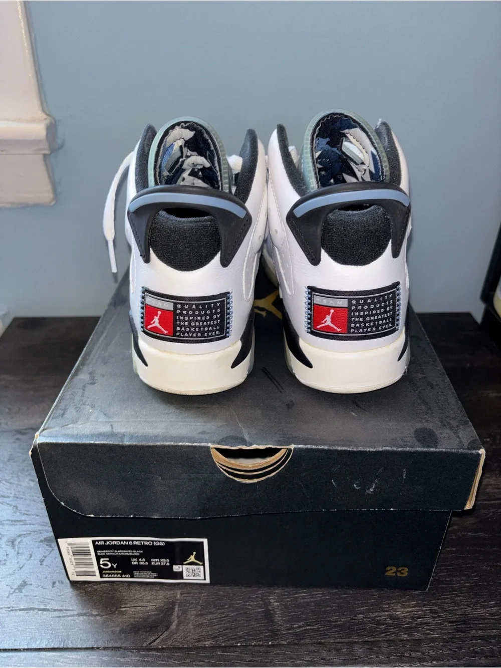 Air Jordan UNC 6s